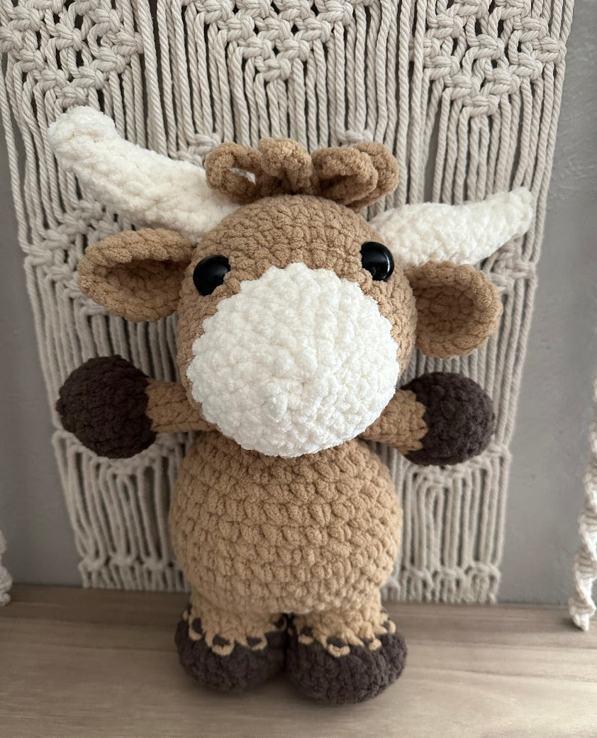 Highland Cow